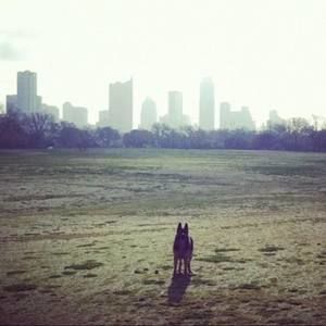 Meet your Posher, Brendan